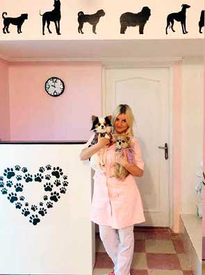 Салон красоты для собак и кошек Лападель Краснодар